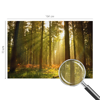 Autocolante de parede fotográfico com imagem 'Manhã na floresta' para decoração de parede
