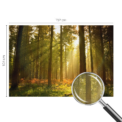 Autocolante de parede fotográfico com imagem 'Manhã na floresta' para decoração de parede