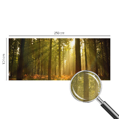 Autocolante de parede fotográfico com imagem 'Manhã na floresta' para decoração de parede