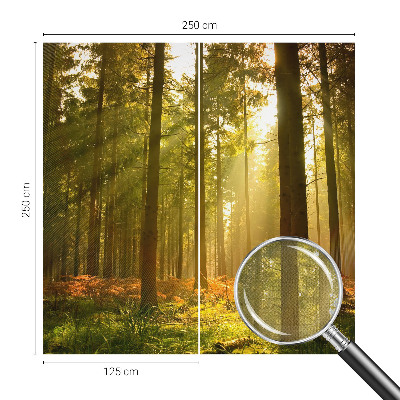 Autocolante de parede fotográfico com imagem 'Manhã na floresta' para decoração de parede