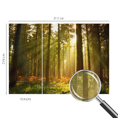Autocolante de parede fotográfico com imagem 'Manhã na floresta' para decoração de parede