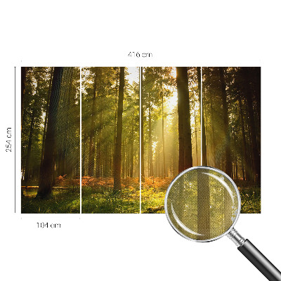 Autocolante de parede fotográfico com imagem 'Manhã na floresta' para decoração de parede