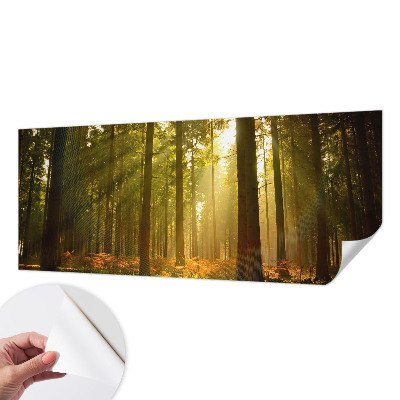Autocolante de parede fotográfico com imagem 'Manhã na floresta' para decoração de parede