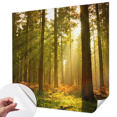 Autocolante de parede fotográfico com imagem 'Manhã na floresta' para decoração de parede