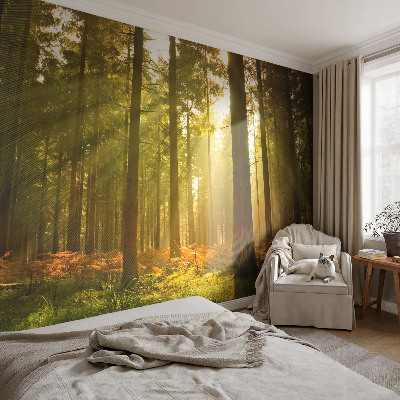 Autocolante de parede fotográfico com imagem 'Manhã na floresta' para decoração de parede