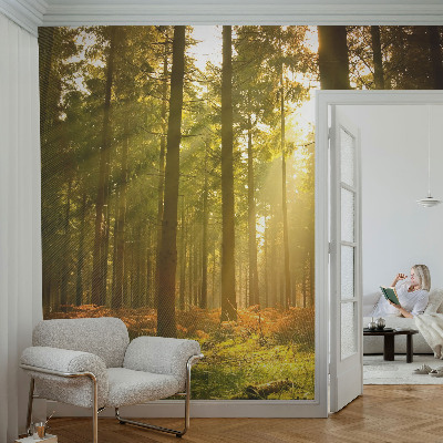 Autocolante de parede fotográfico com imagem 'Manhã na floresta' para decoração de parede