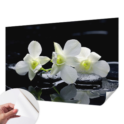Papel de parede para criança com padrão de flores e pedras