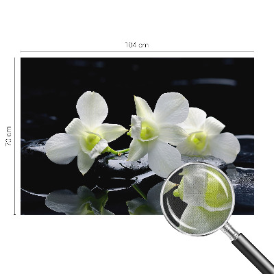 Papel de parede para criança Flores e pedras