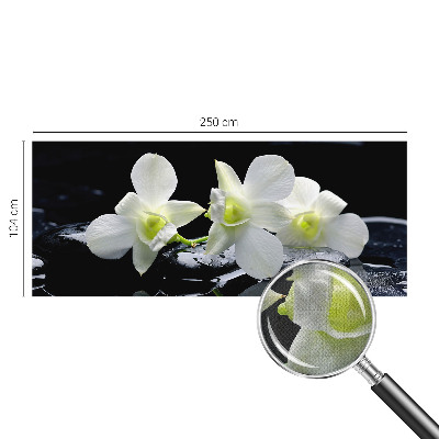 Papel de parede para criança Flores e pedras