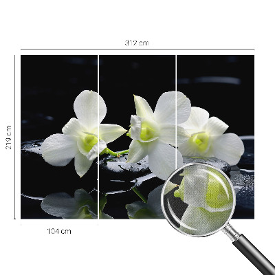 Papel de parede para criança Flores e pedras