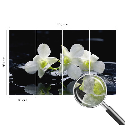 Papel de parede para criança Flores e pedras