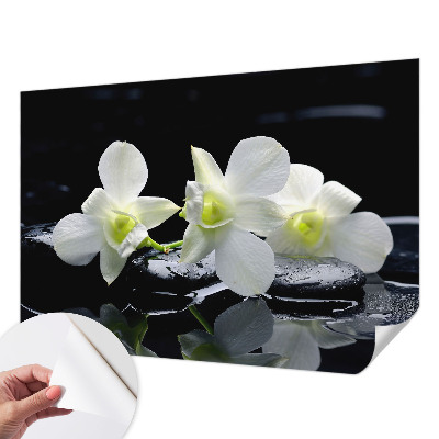 Papel de parede para criança com padrão de flores e pedras