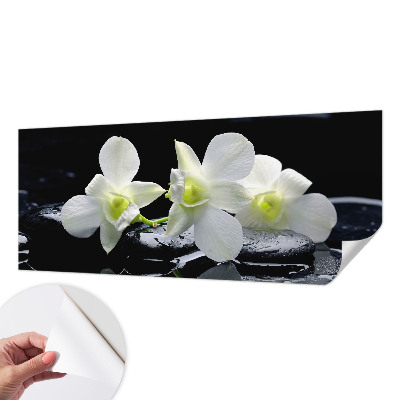 Papel de parede para criança com padrão de flores e pedras