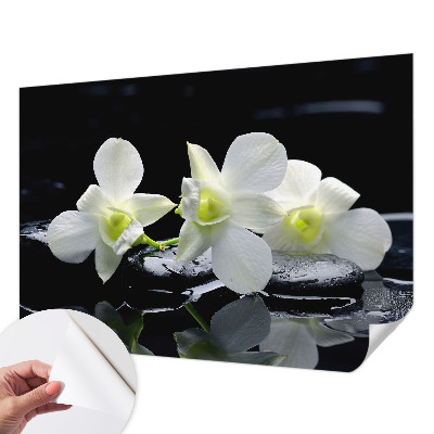 Papel de parede para criança Flores e pedras