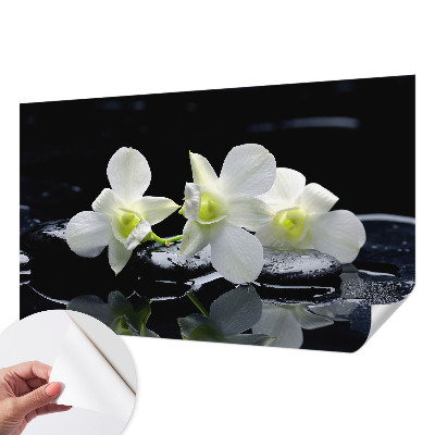 Papel de parede para criança Flores e pedras