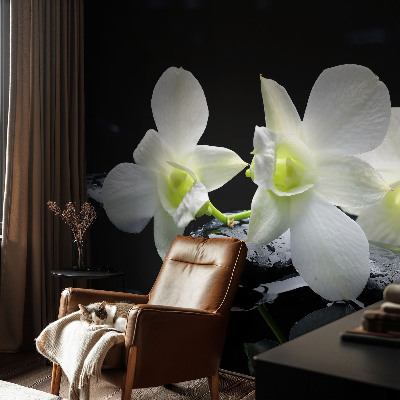 Papel de parede para criança com padrão de flores e pedras