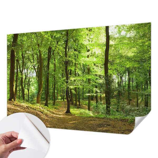 Papel de parede para criança com estampa Caminho Natural