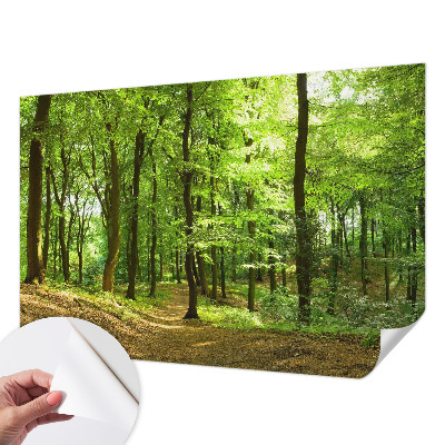 Papel de parede para criança com estampa Caminho Natural