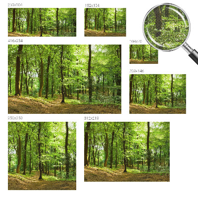 Papel de parede para criança com estampa Caminho Natural