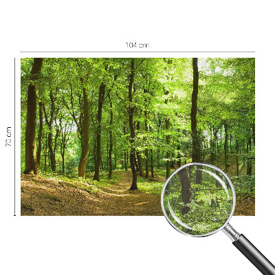 Papel de parede para criança Caminho natural