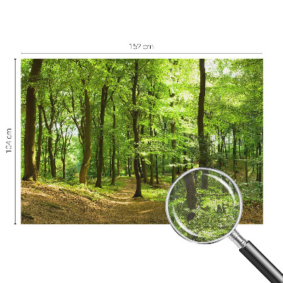Papel de parede para criança com estampa Caminho Natural