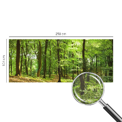 Papel de parede para criança Caminho natural