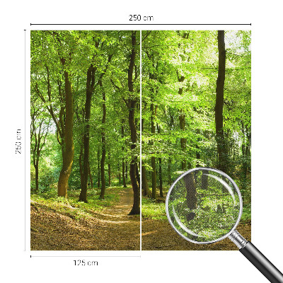 Papel de parede para criança com estampa Caminho Natural