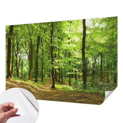 Papel de parede para criança com estampa Caminho Natural