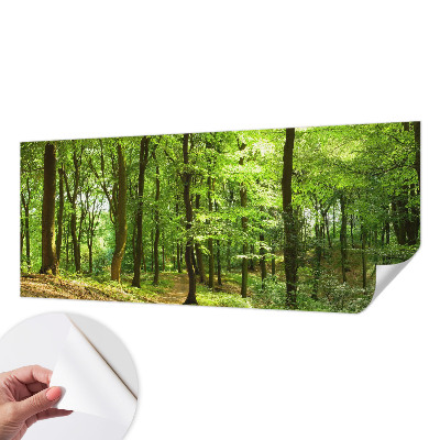 Papel de parede para criança Caminho natural