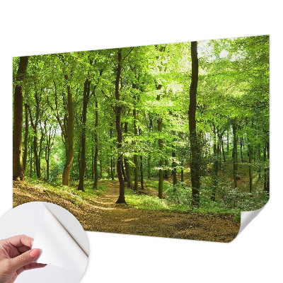 Papel de parede para criança Caminho natural
