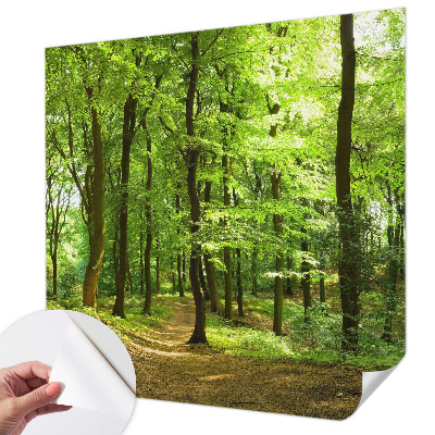 Papel de parede para criança com estampa Caminho Natural