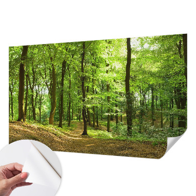 Papel de parede para criança Caminho natural
