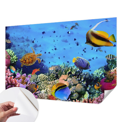 Papel de parede infantil com estampa de recife de coral