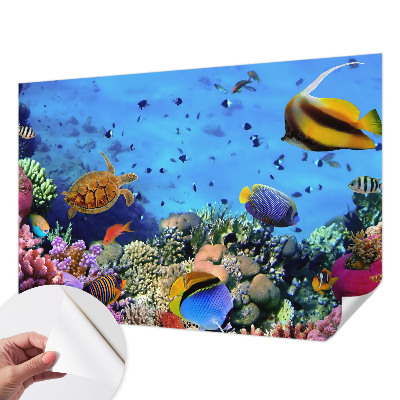 Papel de parede infantil com estampa de recife de coral