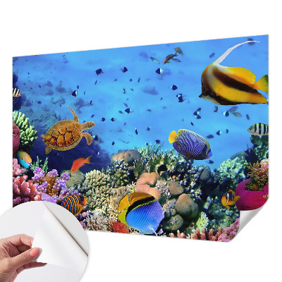Papel de parede infantil com estampa de recife de coral