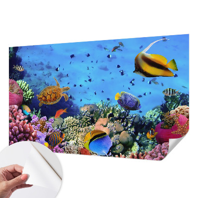 Papel de parede infantil com estampa de recife de coral