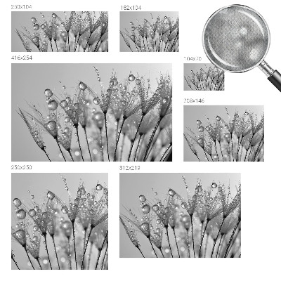 Papel de parede autocolante para sala Delícia molhada