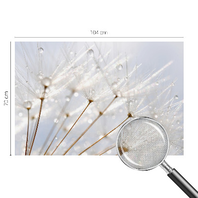 Autocolante de parede fotográfico com motivo de dente-de-leão rosa