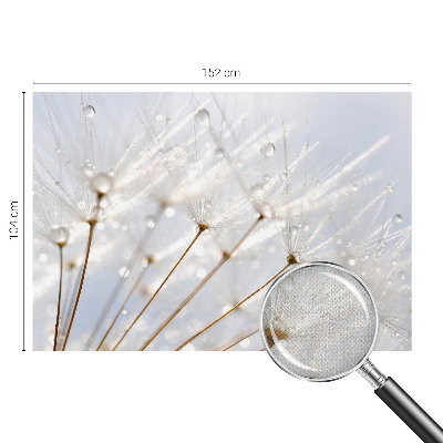 Autocolante de parede fotográfico com motivo de dente-de-leão rosa