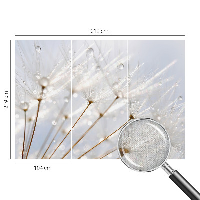 Autocolante de parede fotográfico com motivo de dente-de-leão rosa