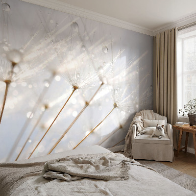 Autocolante de parede fotográfico Dente-de-leão rosa