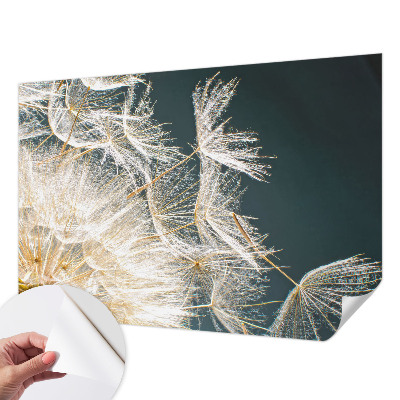 Papel de parede autocolante para sala Dente-de-leão da leveza