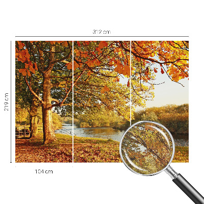 Autocolante de parede fotográfico com motivo de outono na costa