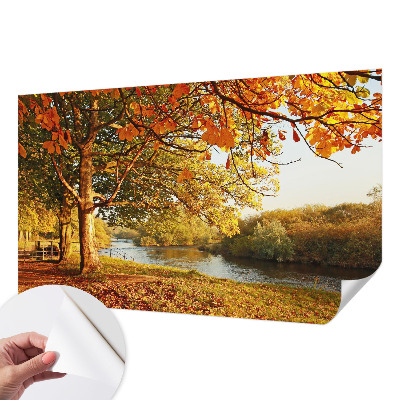 Autocolante de parede fotográfico com motivo de outono na costa