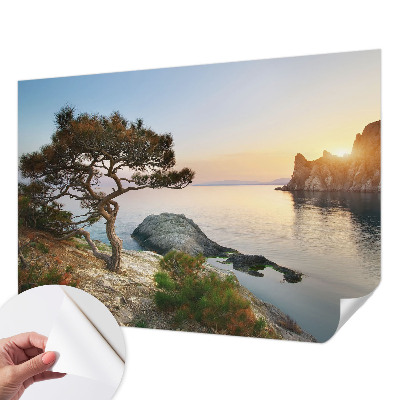Papel de parede para criança com estampa de natureza tranquila para quartos infantis