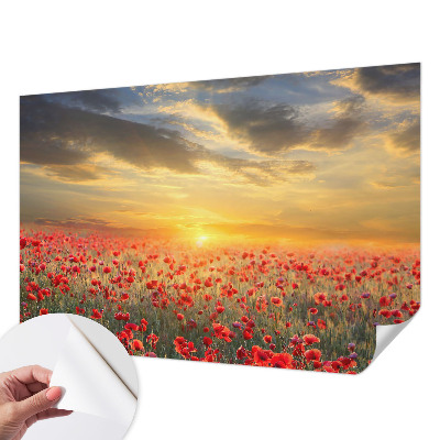 Papel de parede infantil com estampa de campo de papoulas