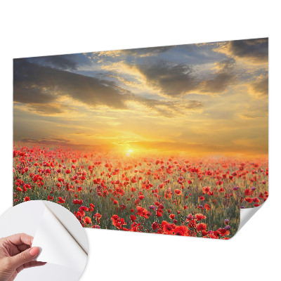 Papel de parede infantil com estampa de campo de papoulas
