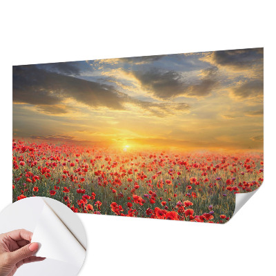 Papel de parede infantil com estampa de campo de papoulas