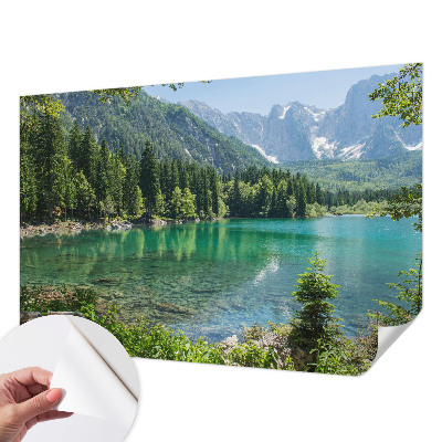 Autocolante de parede fotográfico com imagem de um lago verde