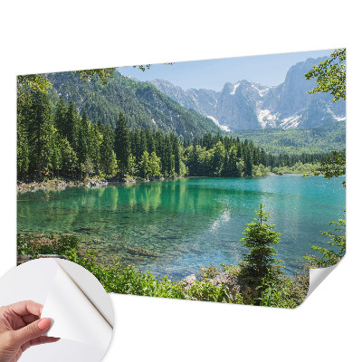 Autocolante de parede fotográfico com imagem de um lago verde